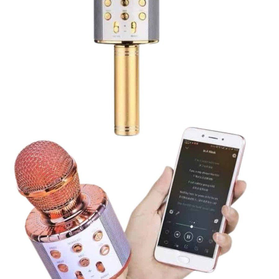 Bluetooth Speaker USB AUX SD Card Kaoroke Microphone Long Battery Life