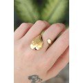Brass Gold Color Adjustable Large Convex Ring