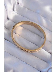 316L Steel Gold Color Zircon Stone Model Clamp