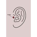 316L Steel Silver Color Zircon Stone Infinity Detail Tragus Piercing