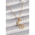 316L Steel Gold Color Chain Zircon Stone Crescent Model Hanging Leaf Detail Women s Necklace