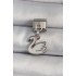 316L Steel Silver Color Pendant White Swan Model Nomination Charm