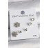 316L Steel Silver Color Zircon Stone Snowflake Model Women's Earring Set
