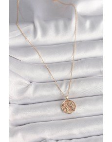 Brass Gold Color Zircon Stone Detailed Rose Engraved Medallion Model Women's Necklace