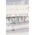 Brass Silver Color Zircon Stone Bird Figure Flower Detail Set of 6 Women's Combination Earrings