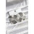 Brass Silver Color Circle Model Women's Earrings