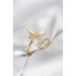 Gold Color Dragonfly Model Zircon Stone Women's Ring