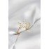 Gold Color Star Model Mother of Pearl Zircon Stone Women's Ring