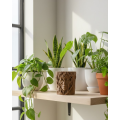 3D Tree Trunk Formed Decorative Flower Pot with Face Figure Artistic Design Vase 3D Tree Trunk Formed Decorative Flower Pot with Face Figure Artistic Design Vase