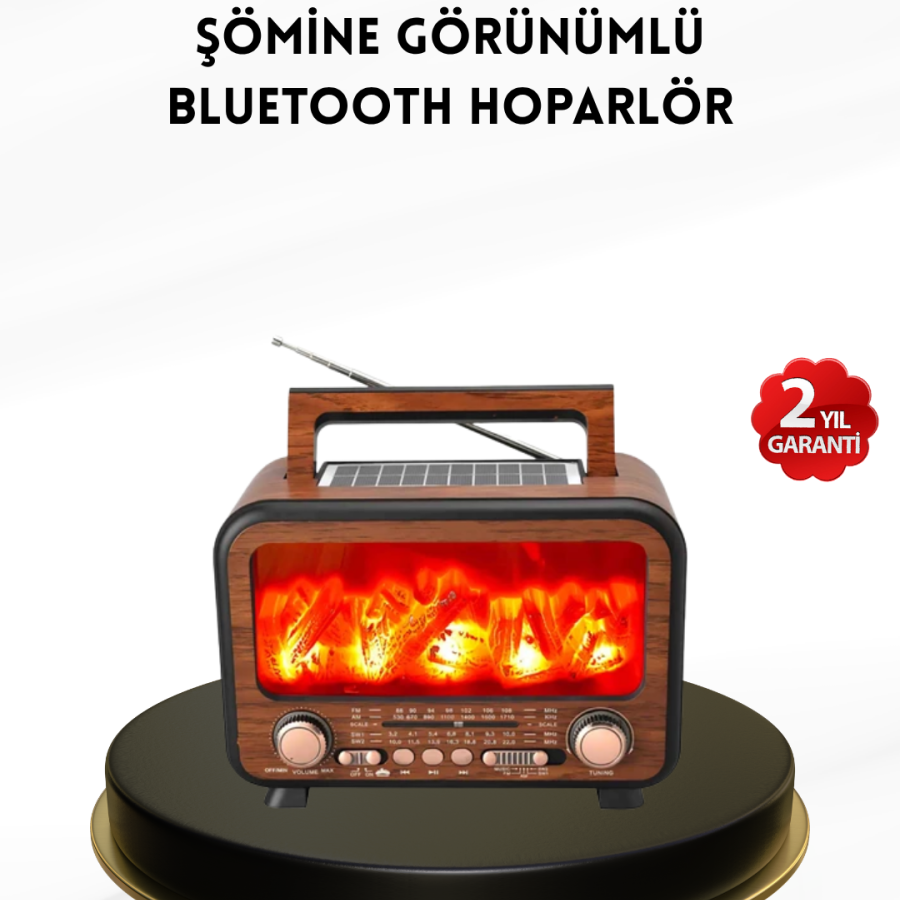 Solar Bluetooth Speaker with Flame Light Effect Radio Supported Portable Model