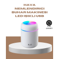 Portable Mini Humidifier with USB Port and 300ml Water Tank