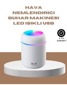 Portable Mini Humidifier with USB Port and 300ml Water Tank