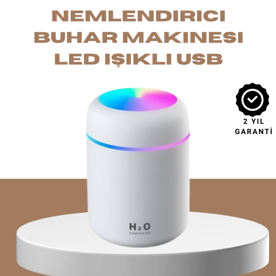 Portable Mini Humidifier with USB Port and 300ml Water Tank