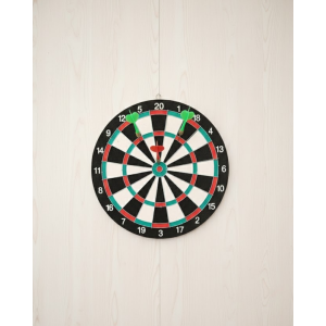 15 Inch Dartboard for Home and Playgrounds Include 4 Darts