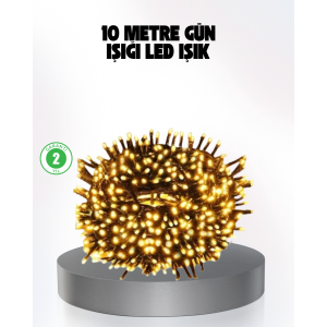 10 Meters Remote Control Decorative Light with Animated LED Lights