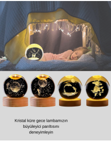 Dolphin Themed Crystal Ball USB Lighted Night Lamp with Wooden Base
