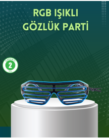 Lighted LED Glasses Party Concert and Event Accessory