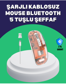 Quiet and Ergonomic Wireless Mouse - 30 Days of Use, 2-Mode Connection