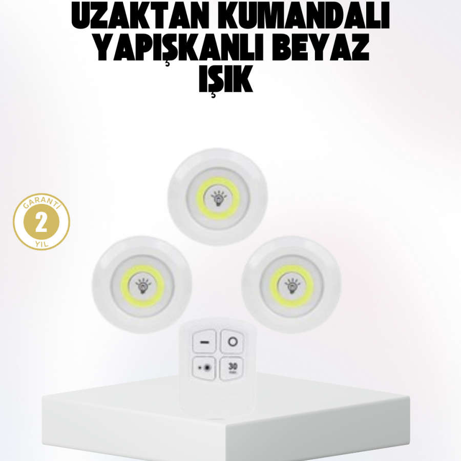 Wireless Daylight 3 LED Spot Lamp Controlled