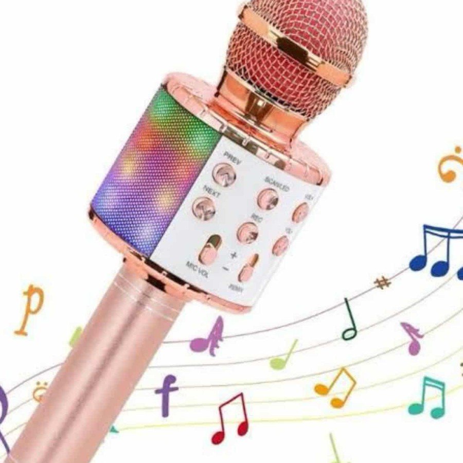Karaoke Microphone with Bluetooth Connection, Aux Input, Long Battery Life, High Sound Quality