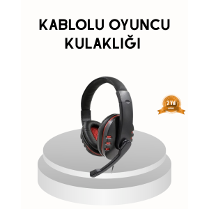 Professional Headphones – With Microphone, Soft Pads, Stereo Sound Quality, Sweat Resistant