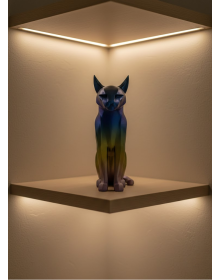 DARK RAINBOW CAT