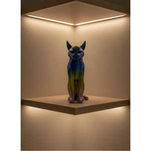 DARK RAINBOW CAT