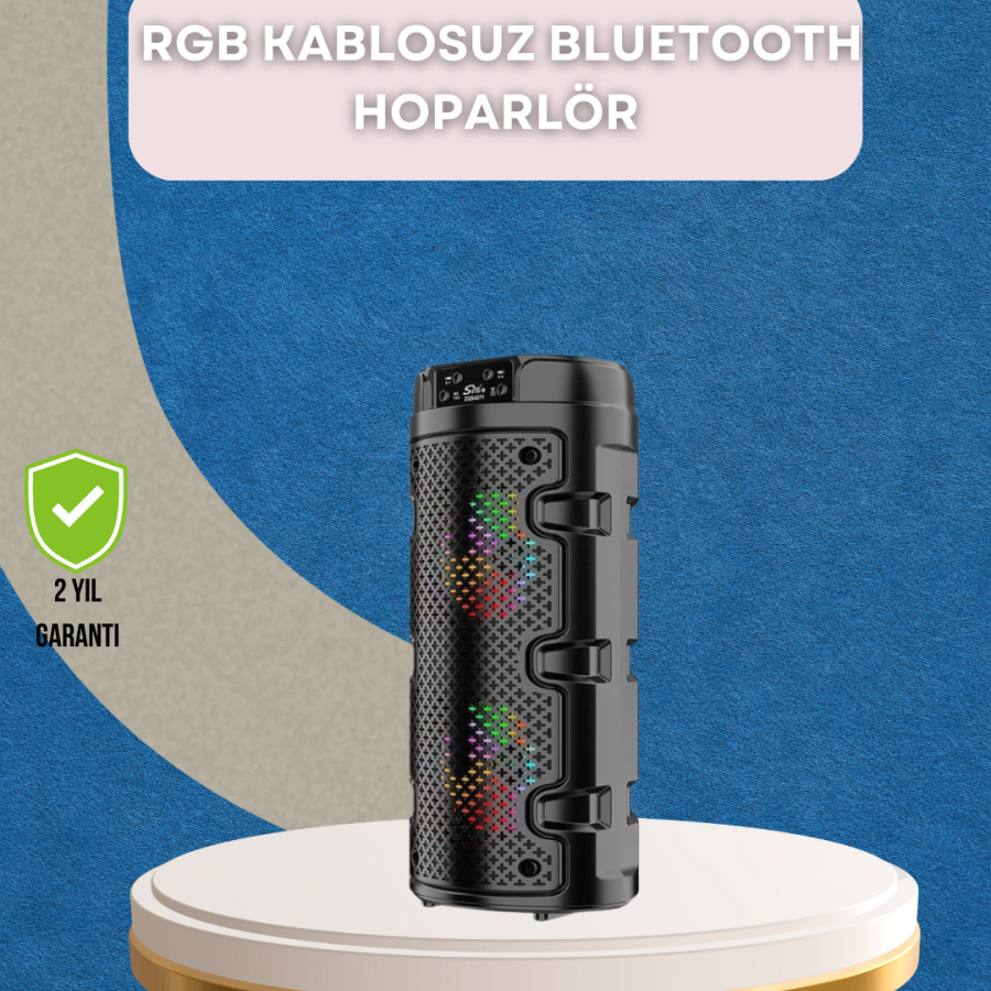 Portable Speaker with USB, SD Card and AUX Input