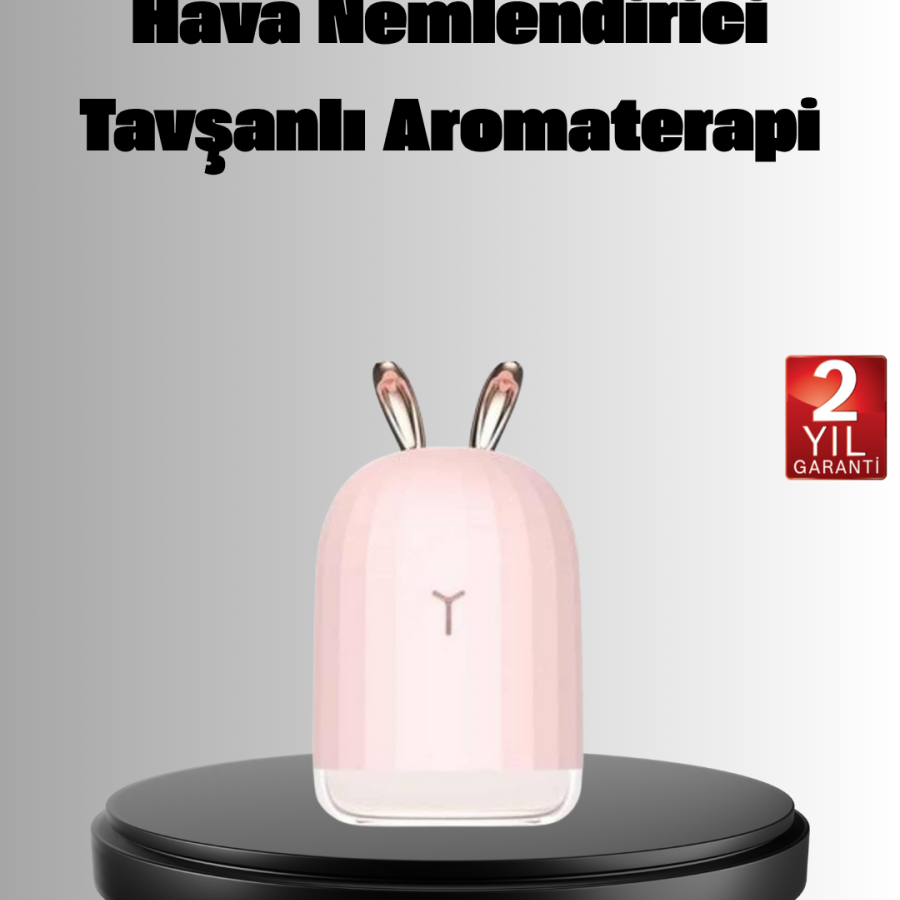 Aromatherapy Compatible Air Humidifier – Ultrasonic Silent Diffuser