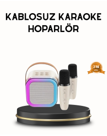Bluetooth Karaoke Speaker with Colorful LED Lights and Type-C Charging