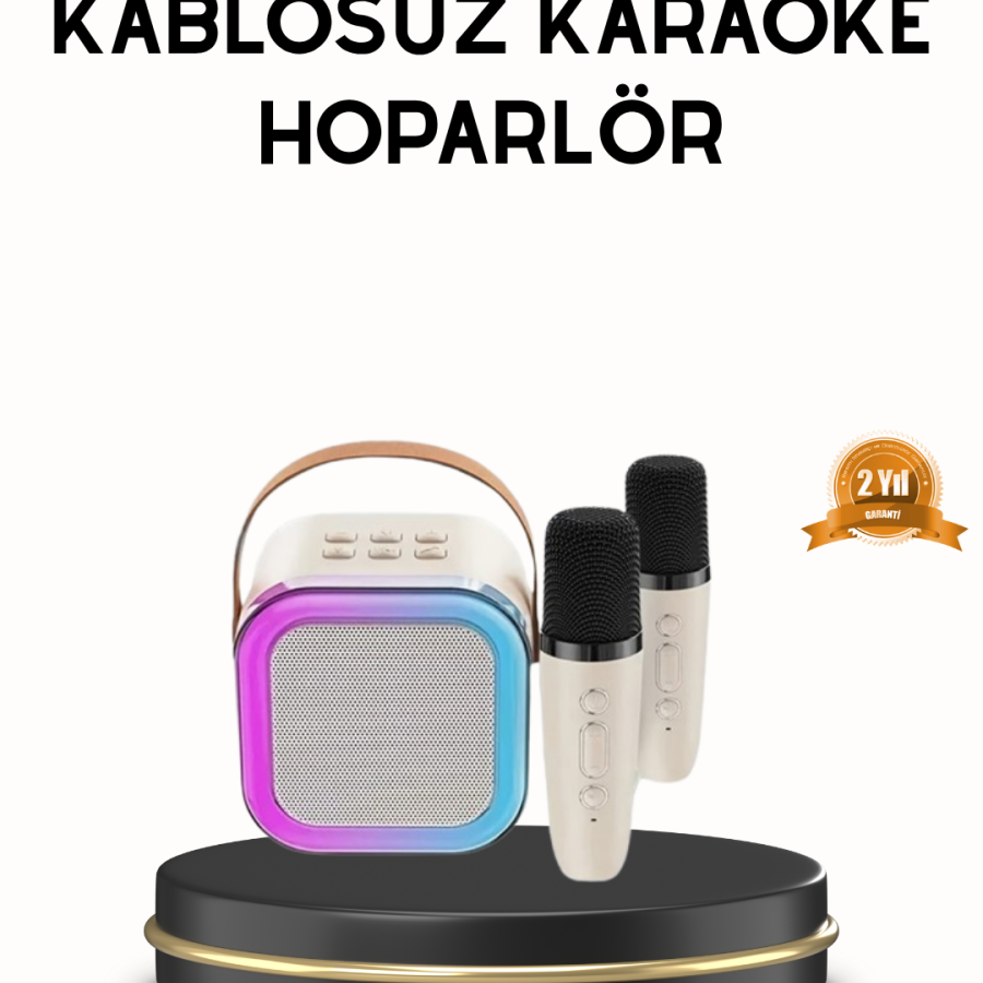 Bluetooth Karaoke Speaker with Colorful LED Lights and Type-C Charging