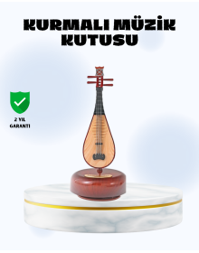 Instrument Shaped Music Box Lüt Design Melodious Music