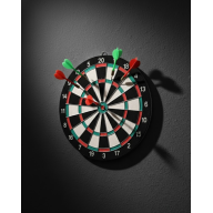 17 Inch Dartboard with Sturdy Wooden Body and Metal Needle Dart Arrows