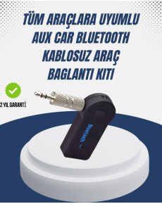 Bluetooth Supported AUX Music and Speech Device