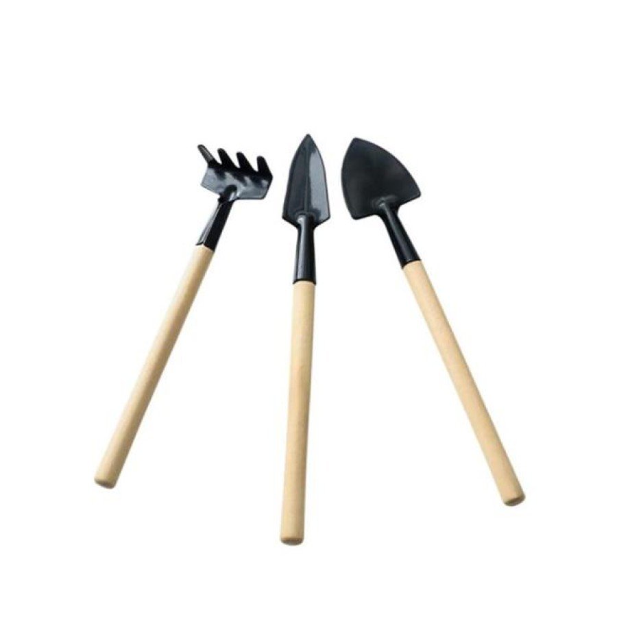 3 Piece Mini Plant Hobby Set - Garden Pot Succulent Care Hoe-Rake-Shovel