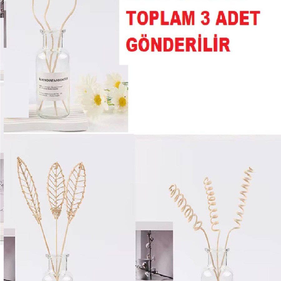 3 Single Pieces 3 Model Aromatherapy Fragrance Diffuser Rattan Bottle Wooden Diffuser Stick (Spiral-Leaf-Wavy)