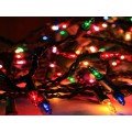 30 LEDs Brass Colored Christmas Tree Light