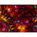 30 LEDs Brass Colored Christmas Tree Light