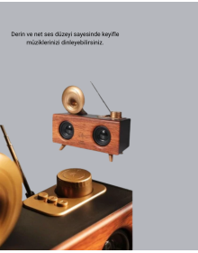 Gramophone Design Bluetooth Speaker Multifunctional with 3D Sound Technology