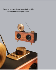 Gramophone Design Bluetooth Speaker Multifunctional with 3D Sound Technology