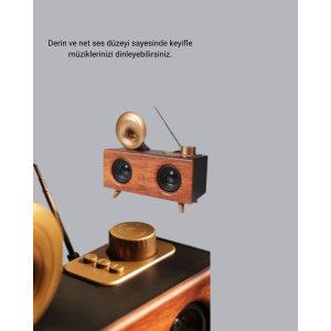 Retro Gramophone Bluetooth Speaker Dual Stereo Sound FM Radio Supported