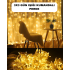 Remote Controlled Daylight Fairy Led for Romantic Ambiance