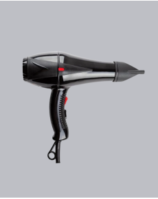 2200W AC Motor Hair Dryer with Lightweight and Durable Design