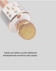 Karaoke Microphone Bluetooth USB AUX Input with Echo Effect