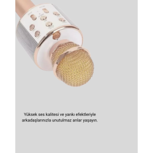 Bluetooth Karaoke Microphone Rechargeable Long Battery Life Multifunctional Bluetooth Karaoke Microphone Rechargeable Long Battery Life Multifunctional