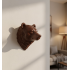BROWN BEAR