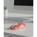 Silent Clicking Transparent Mouse Bluetooth and USB Compatible Silent Clicking Transparent Mouse Bluetooth and USB Compatible