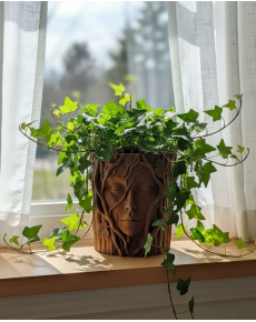 3D Artistic Tree Faced Decorative Vase Nature Themed Special Design Flower Pot