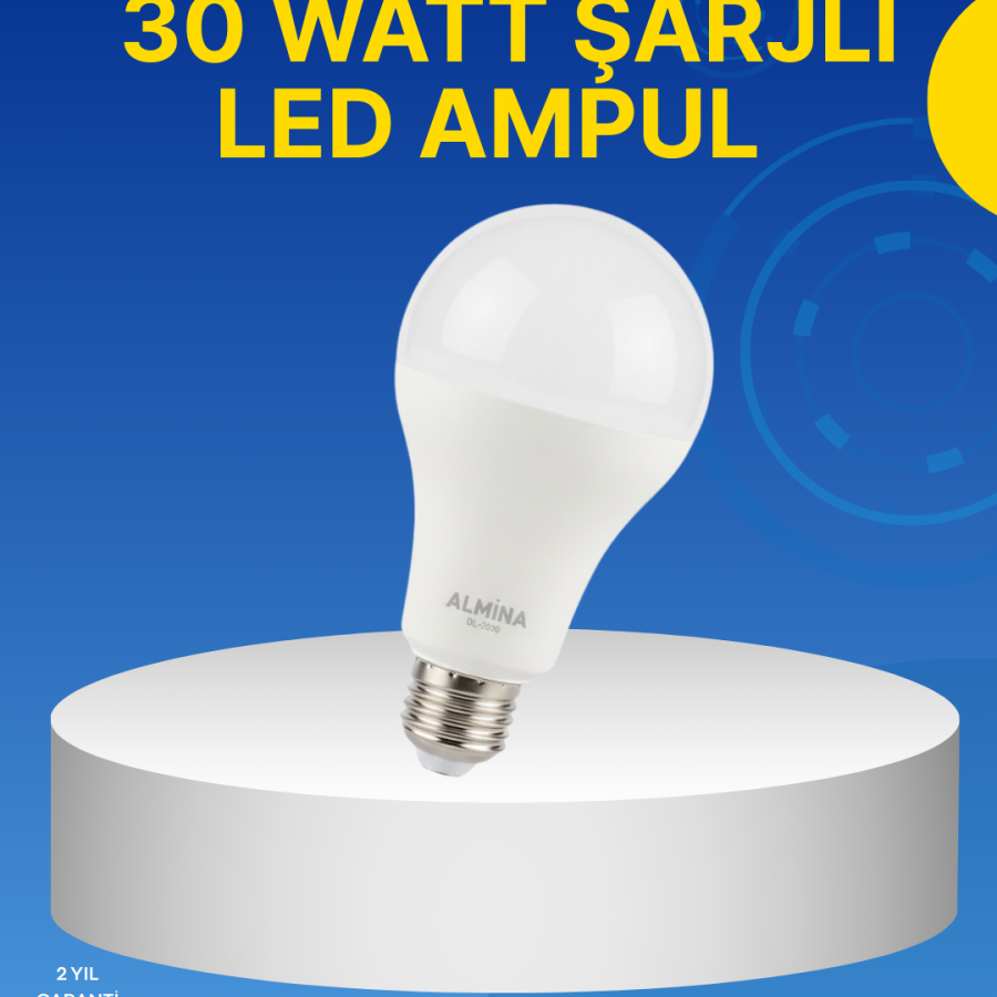 Rechargeable LED Bulb for Home and Workplace Rechargeable LED Bulb for Home and Workplace