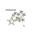 STAR FAIRY LED STAR FAIRY LED